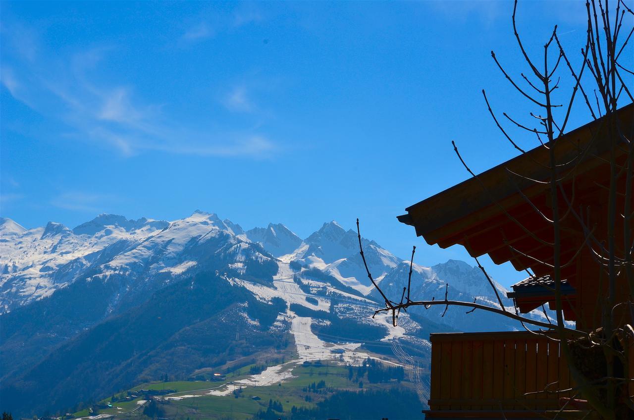 Apt Mountain View By - Alpen Apartments Zell am See Esterno foto